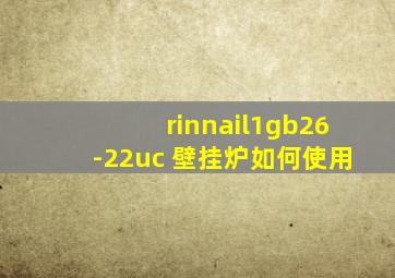 rinnail1gb26-22uc 壁挂炉如何使用